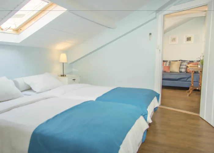 Goodmorning Solo Traveller Hostel Hostel