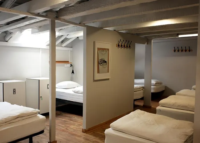 Goodmorning Solo Traveller بيت شباب *